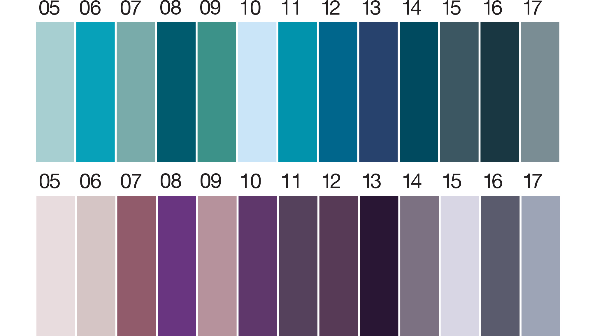 CF17 Color Past 5 CF17 Color Past 5