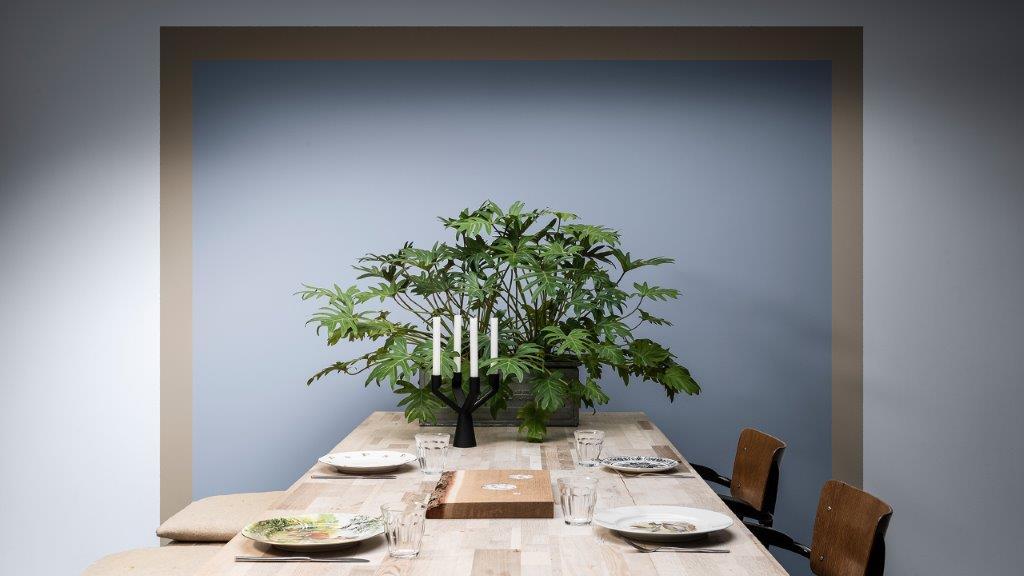 Dining room painted with a blue square framed with brown, plus table and plant Dulux_CF21_Év_színe_Föld_paletta_magyar_3